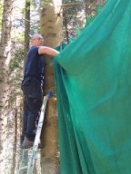 IMG_20250511_112447047